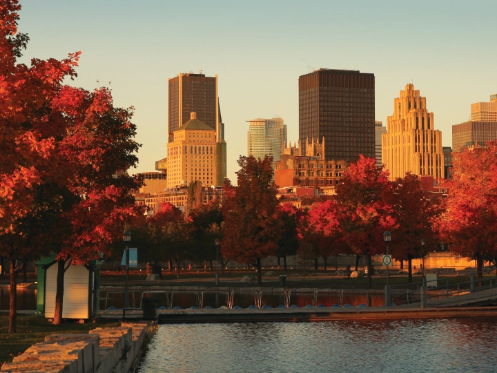 Montreal skyline during sunset